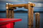 davidniddrie-saltspring-0843