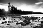 davidniddrie-saltspring-0882