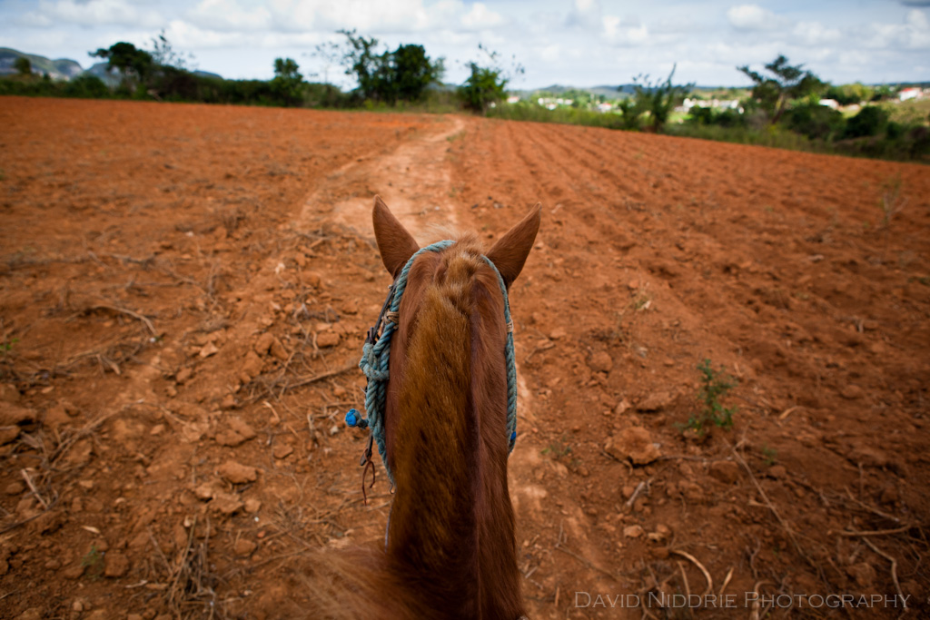 Vinales on horseback