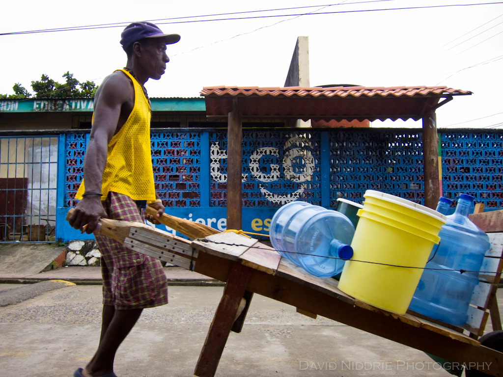 Livingston Yellow Blue Man
