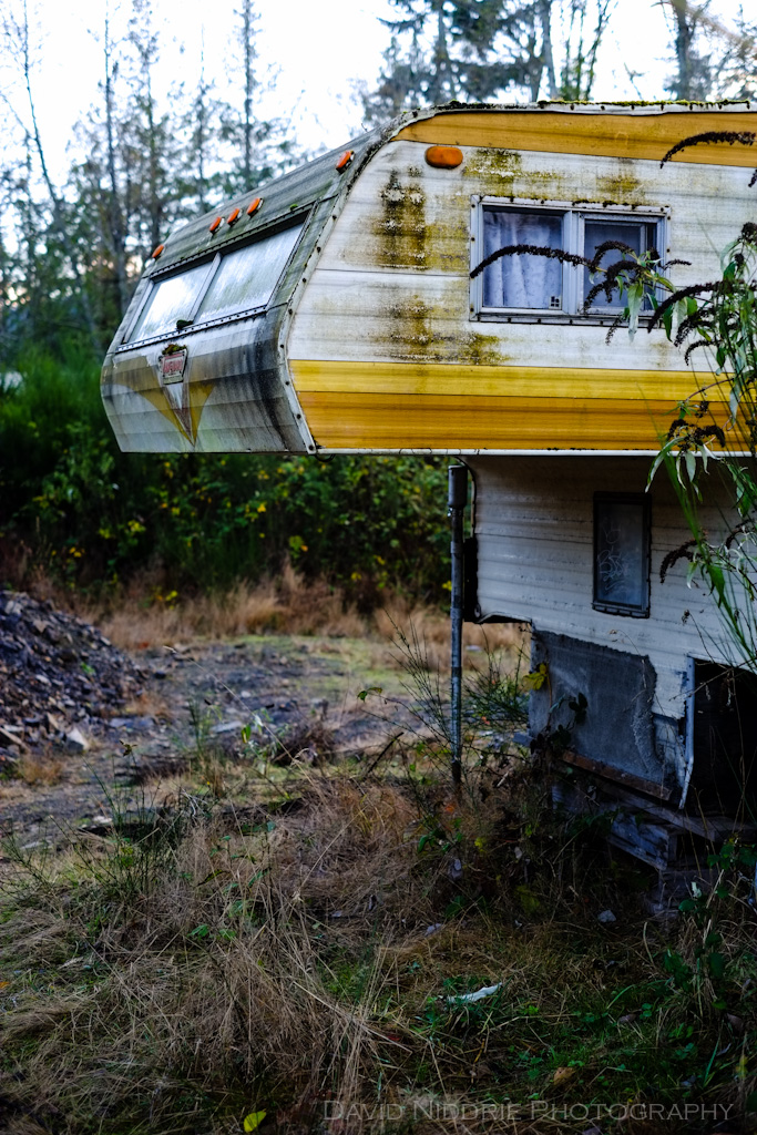 davidniddrie_saltspring_nov2012-0800