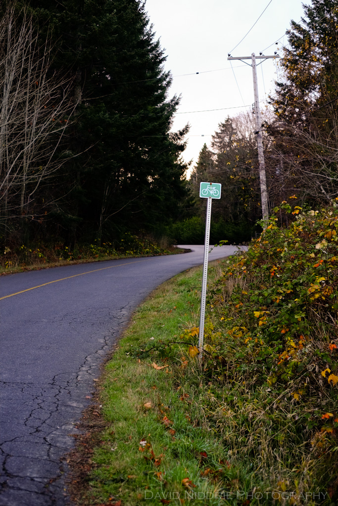 davidniddrie_saltspring_nov2012-0808