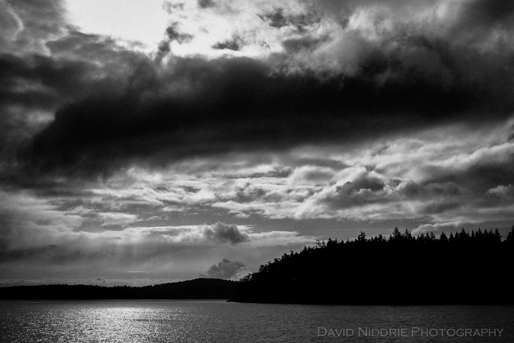 davidniddrie_saltspring_nov2012-0881