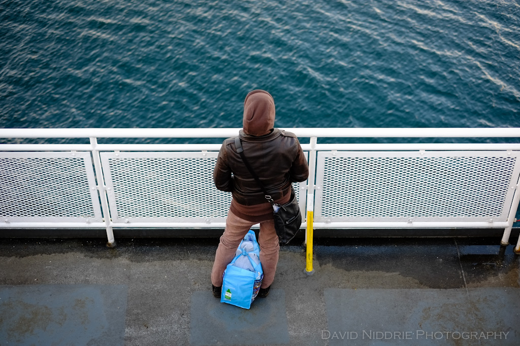 davidniddrie_saltspring_nov2012-0899