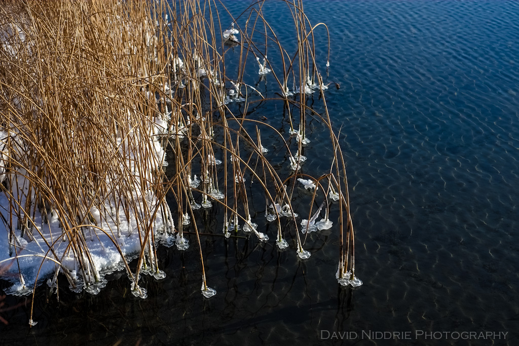 davidniddrie_banff_ice-3716