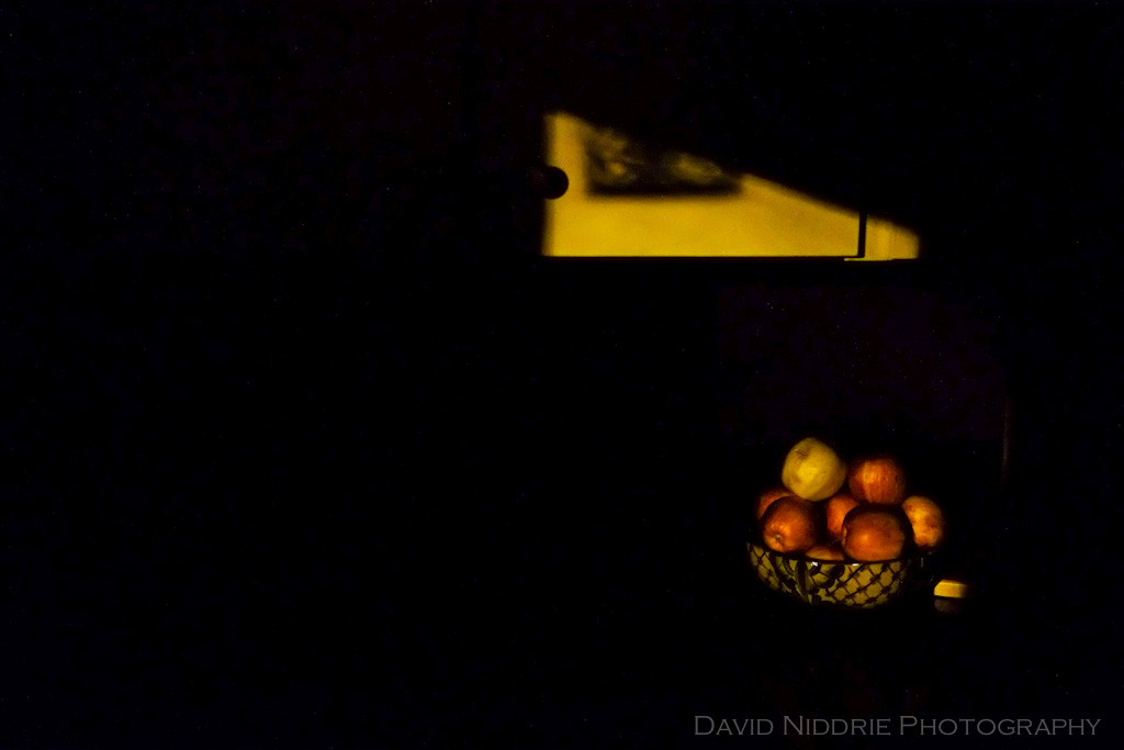 davidniddrie_lowlight-4317