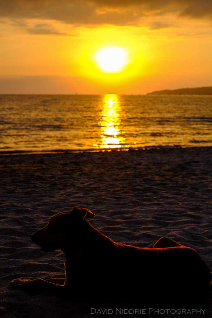 davidniddrie_mexico_bucerias-1105