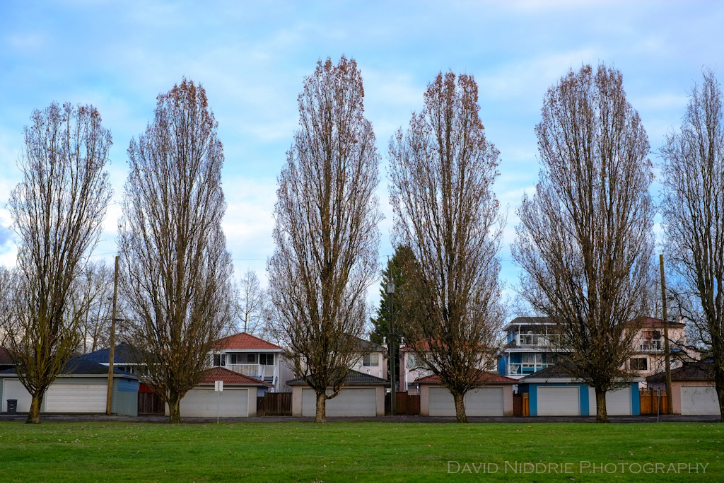 davidniddrie_vancouver_symmetry-4410