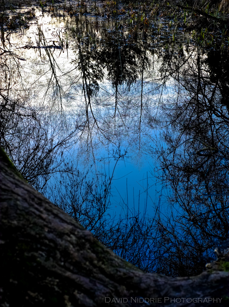 davidniddrie_troutlake-4369