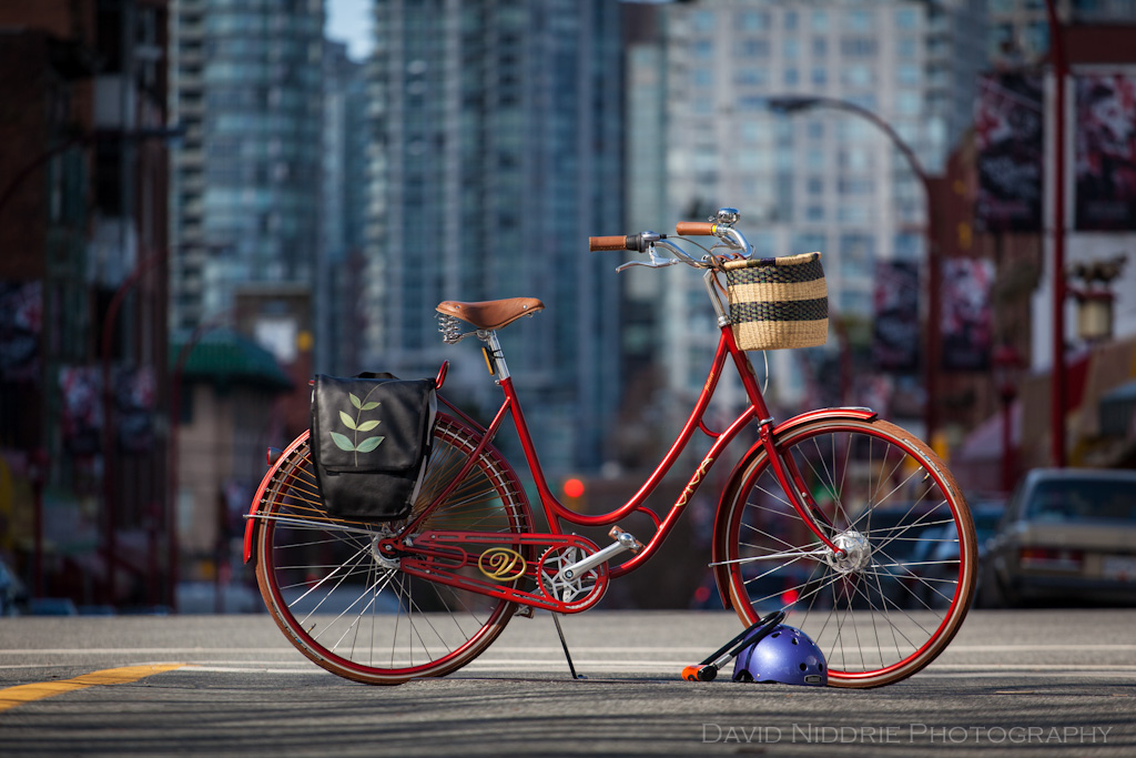 davidniddrie_M61Viva-