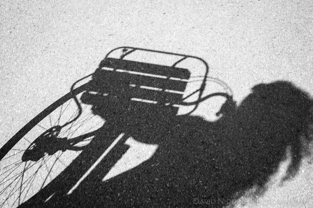 davidniddrie_miashadow-5631