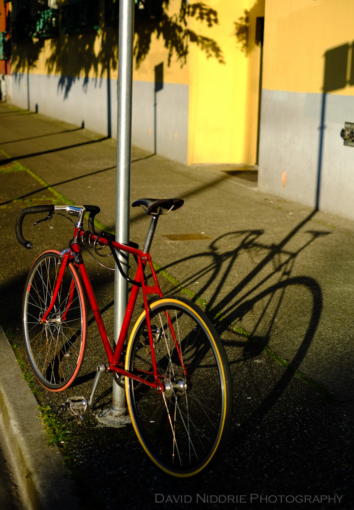 davidniddrie_alexander-parking-6318