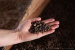 davidniddrie_guatemala_coffee-5634
