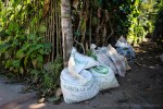 davidniddrie_guatemala_coffee-5962