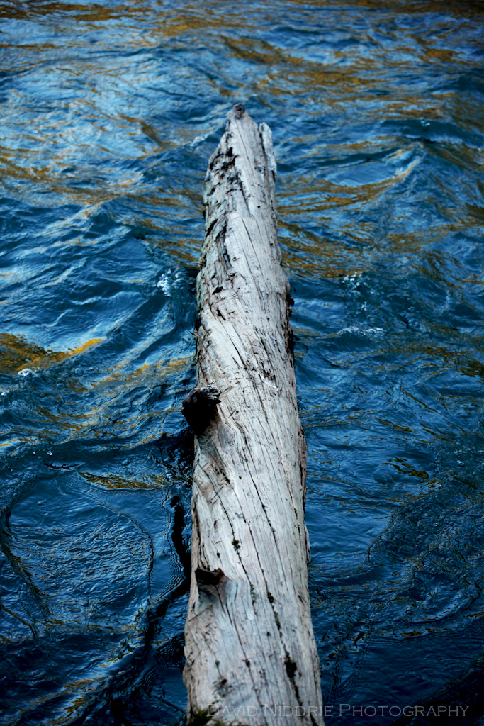 davidniddrie_birkenhead_cheakamusriver-5691