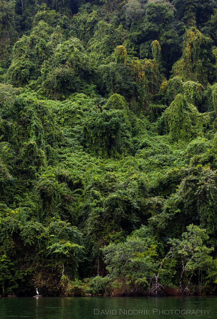 davidniddrie_guatemala_riodulce-7360