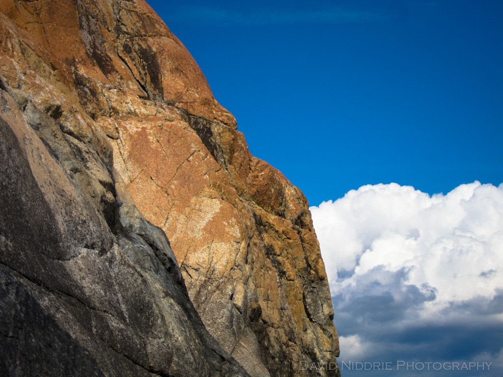 davidniddrie_savary-8484