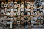davidniddrie_mexico_maya_kabah-8274
