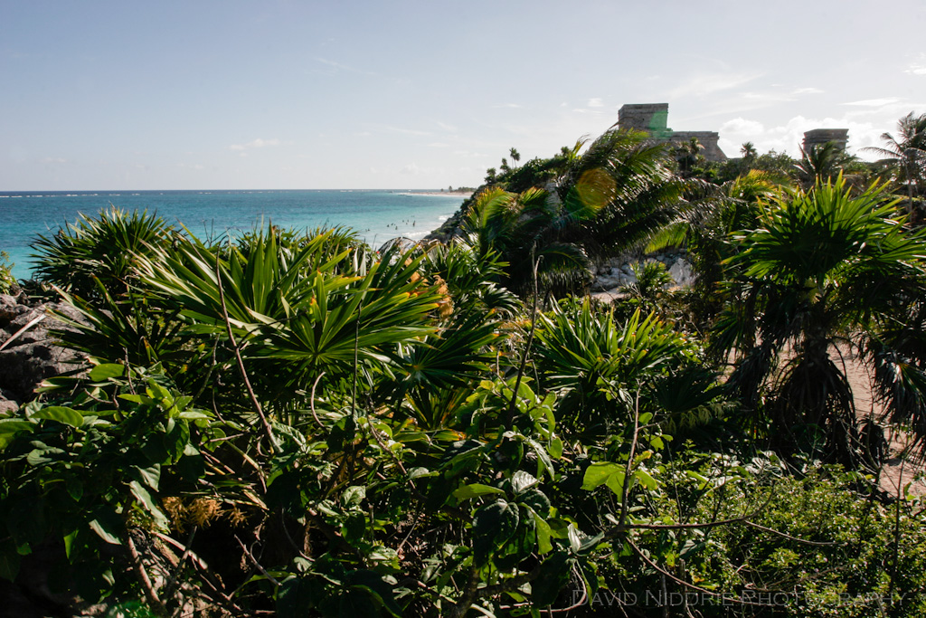 davidniddrie_mexico_maya_tulum-8460