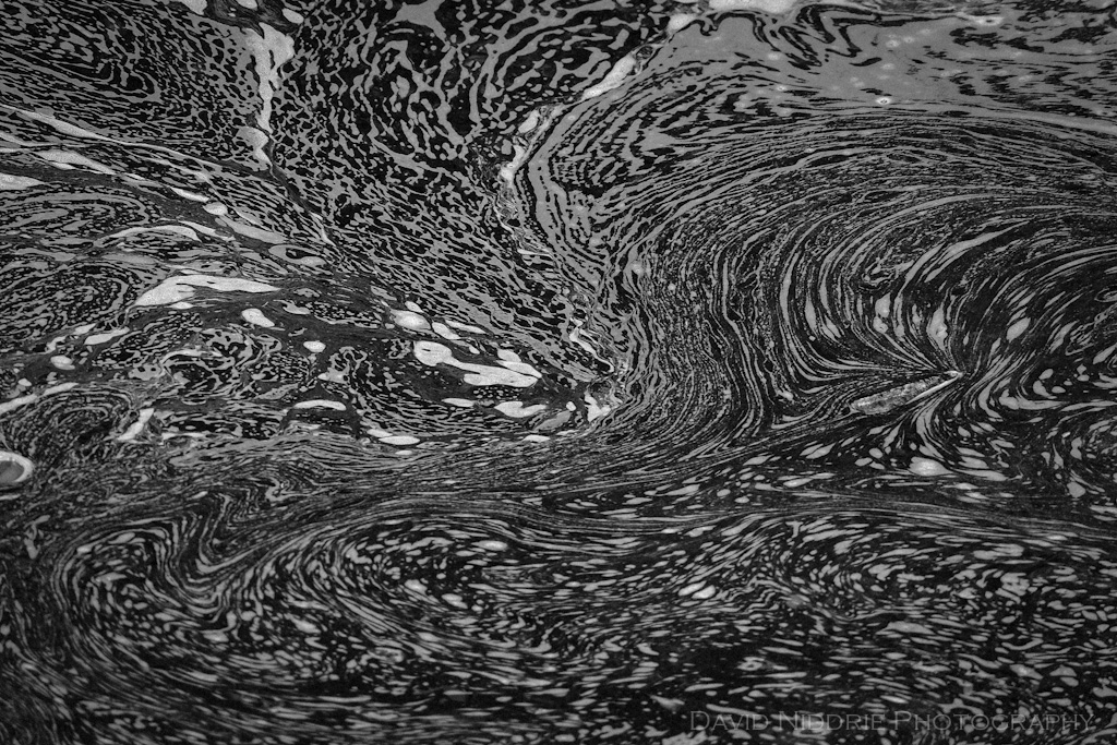 davidniddrie_sunshinecoast_blackwaters-0484