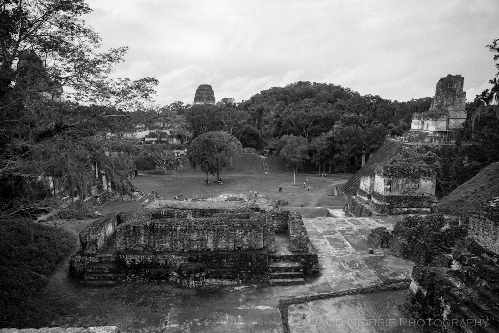 davidniddrie_guatemala_maya_tikal-7083