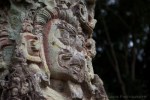 davidniddrie_honduras_copan-7713