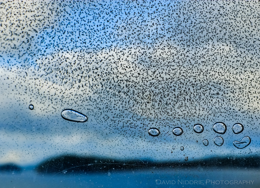 davidniddrie_ferrywindow-0919