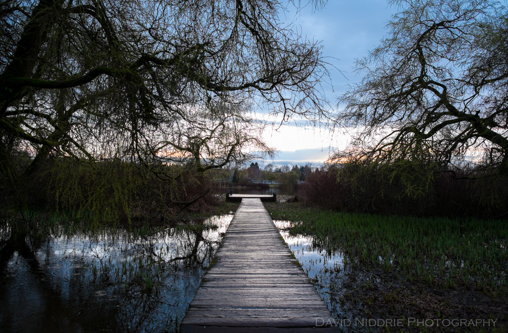 davidniddrie_troutlakespring-2324