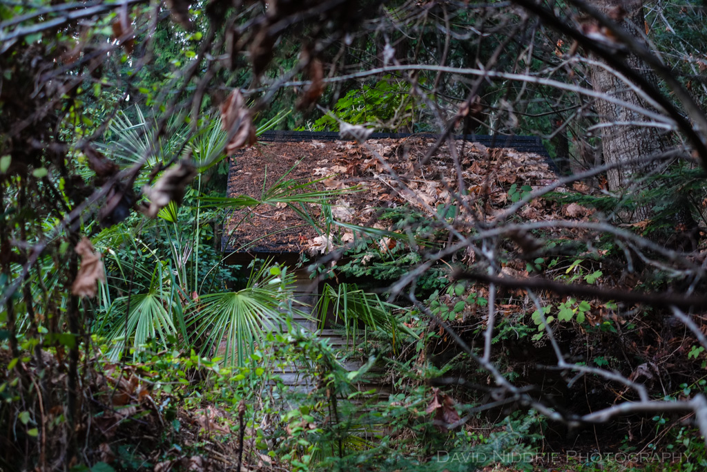 davidniddrie_bonnybrook_cabin-0608