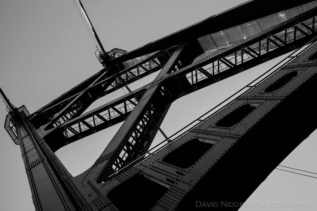 davidniddrie_vancouver_lionsgate-1088