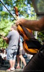 davidniddrie_vfmf2013-0327