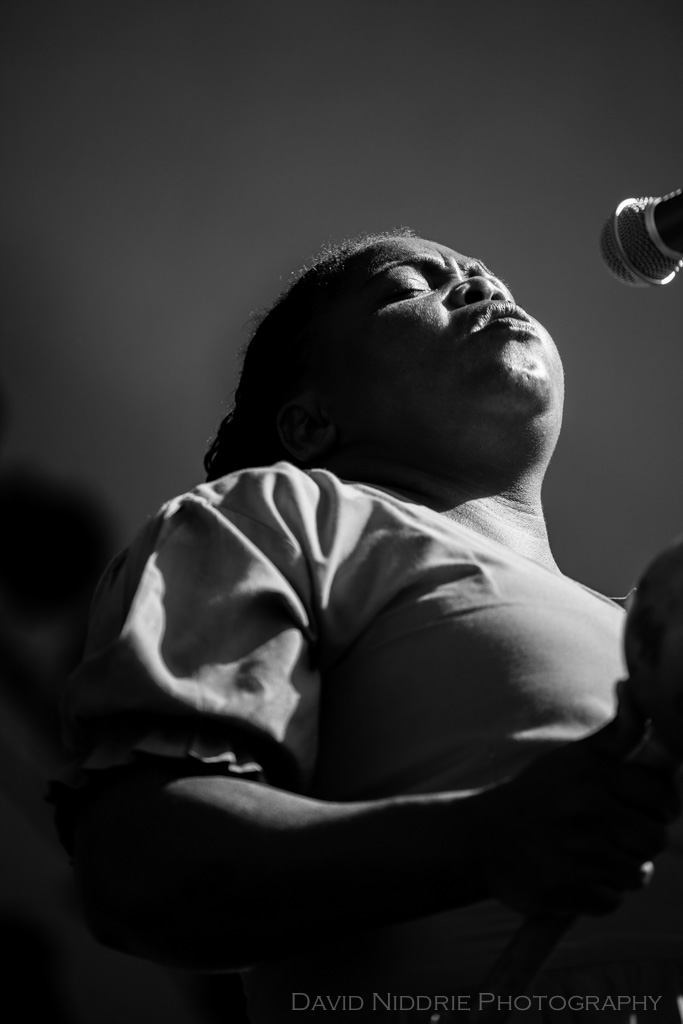 davidniddrie_vfmf2013-0786