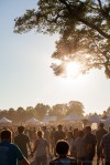 davidniddrie_vfmf2013-9957