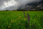 davidniddrie_austria_tyrol-4510