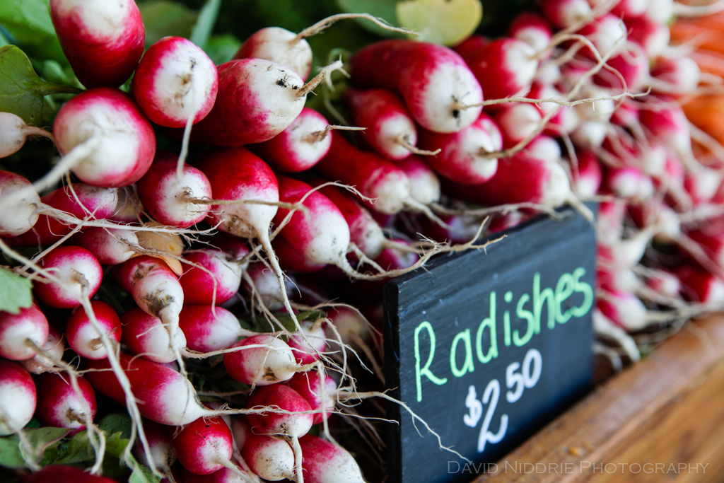 davidniddrie_ubcfarm-6930