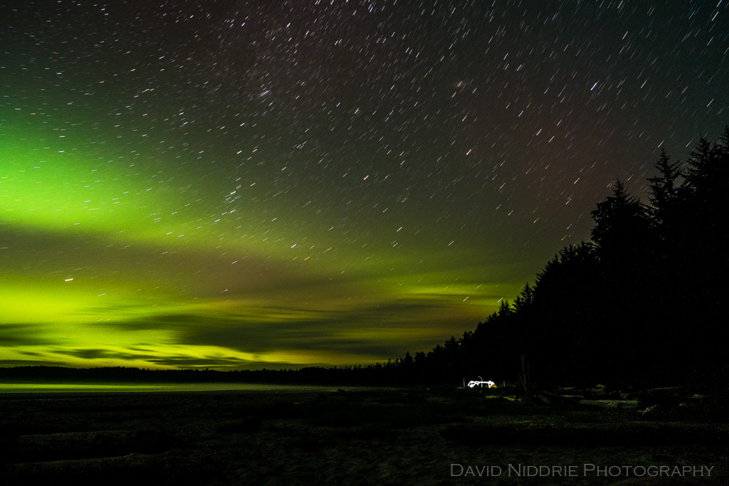 davidniddrie_BC_capescott-8864