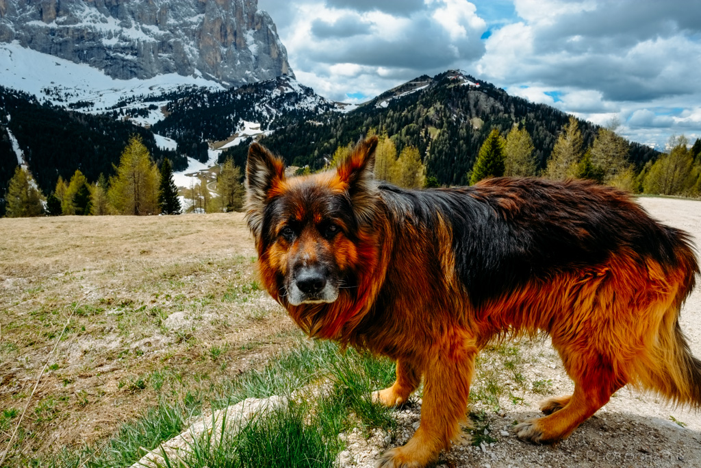 davidniddrie_dolomites_day2-4933