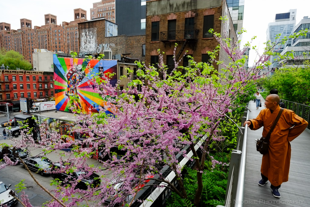 davidniddrie_nyc_highline2015-1399