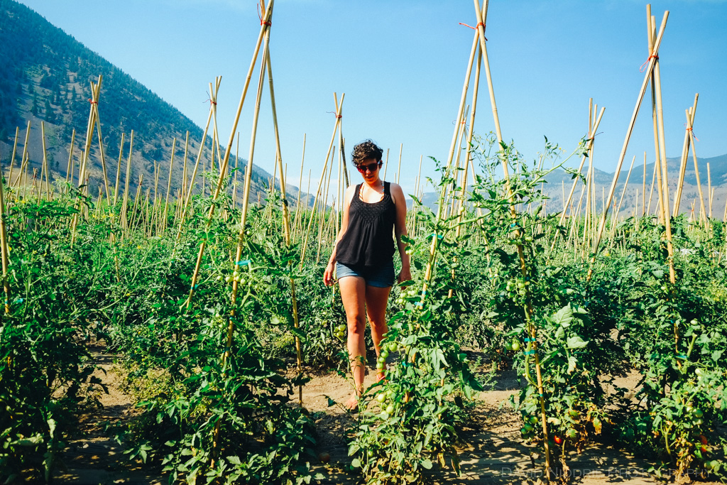 davidniddrie_keremeos-3338