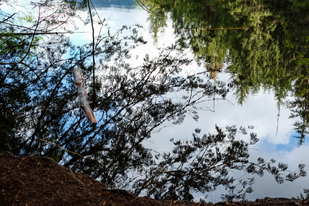 The forest is reflected in Alice Lake, BC.