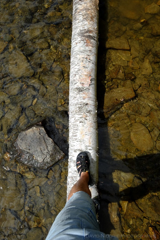 A man walks along a fallen tree across a river.