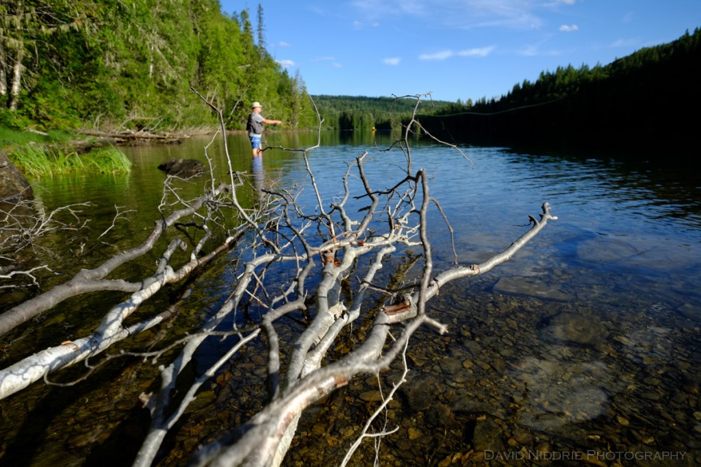 A man fly fishing along the Clearwater River, BC.