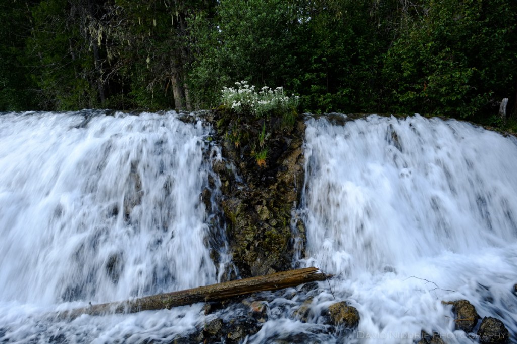 A waterfall pours from the forest at Clearwater Lake campground, BC.