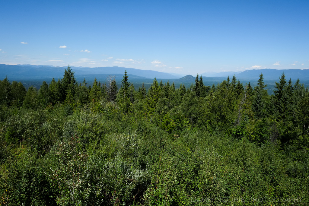 A landscape of forest, volcano and mountains in BC.
