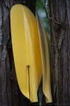 Kayak Paddles and Fishing&nbsp;Rod