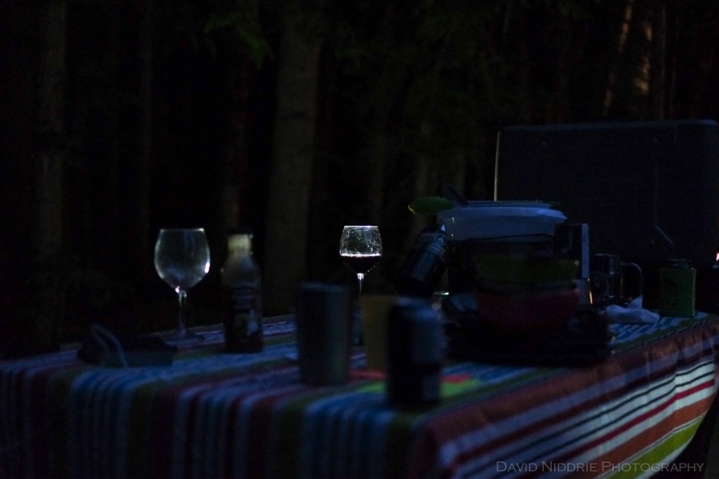 A glass of wine is illuminated during a picnic dinner while camping.