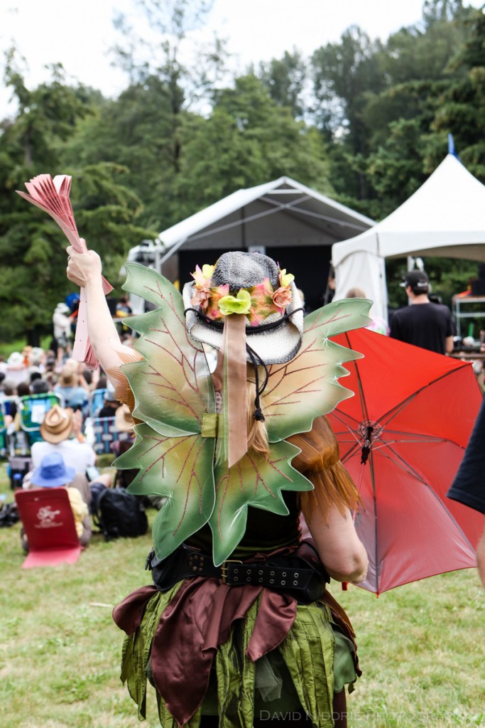 Raffle tickets for sale at the Vancouver Folk Music Fesival.