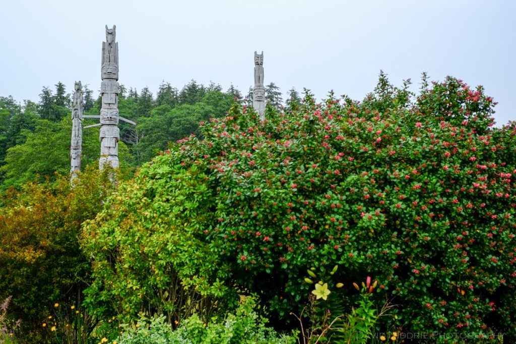 Totem poles stand tall at the traditional Namgis Burial Grounds on Alert Bay