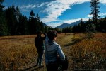 Ponderosa Pines in the Skagit River&nbsp;Valley.