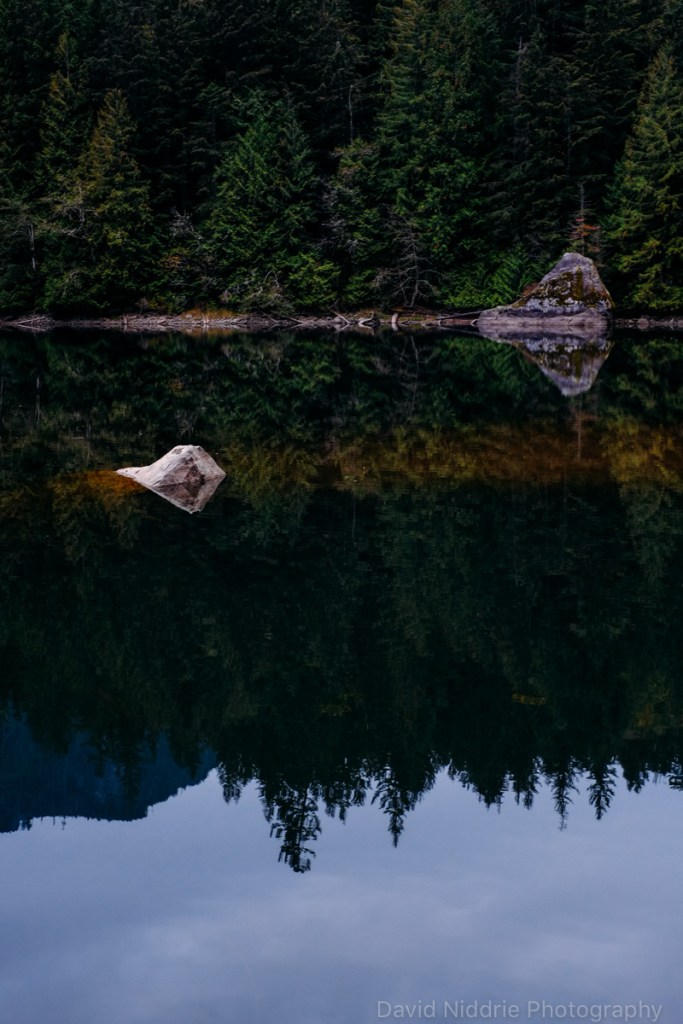 Forest and trees are reflected in a small pond along the river at sundown.